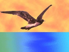 LIBRE! -  Distracci�nes - Arte - 